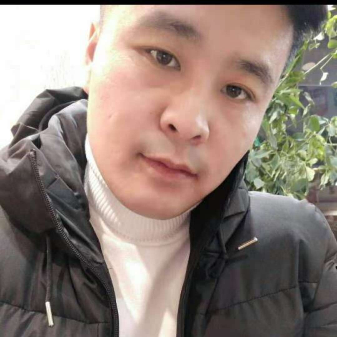 石头用鲤鱼的照片