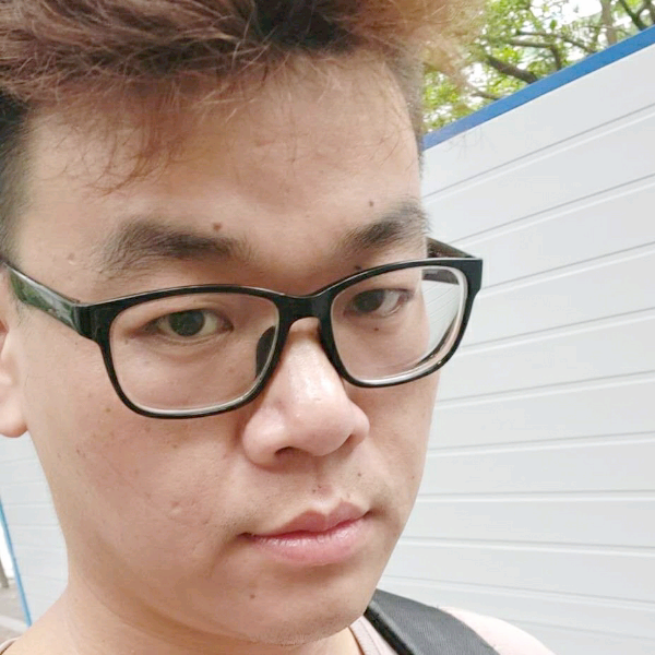 小猴子上树的照片