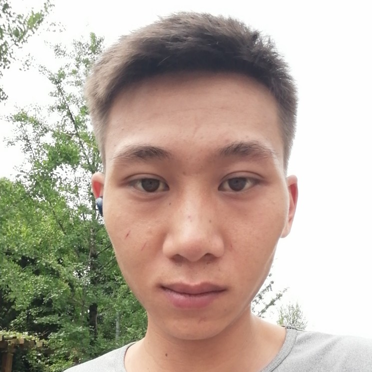 豆芽隐形的照片
