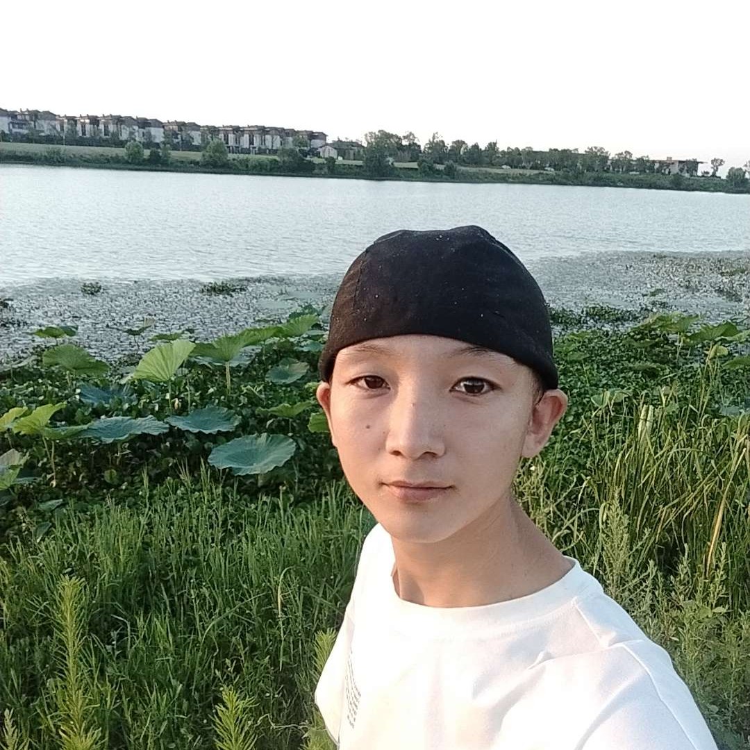 康乃馨等待傲娇的照片