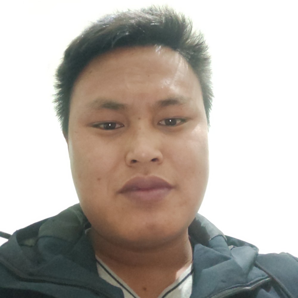 如莺的照片