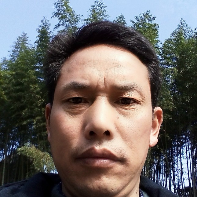 花魂不死鸟的照片