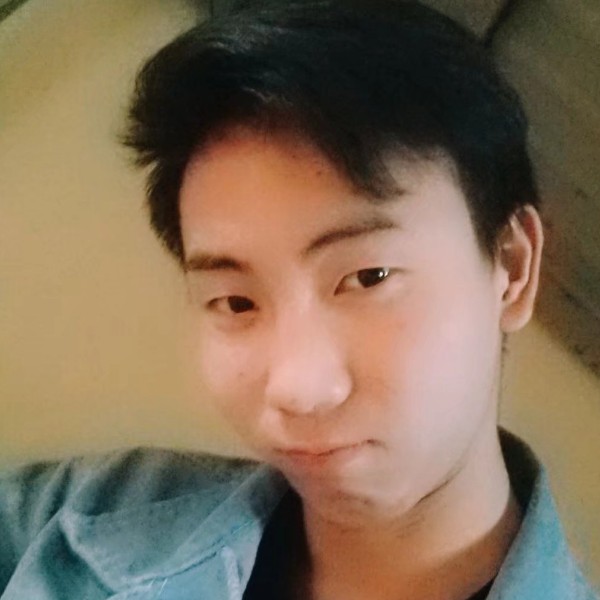 梧桐林的猫男巫的照片