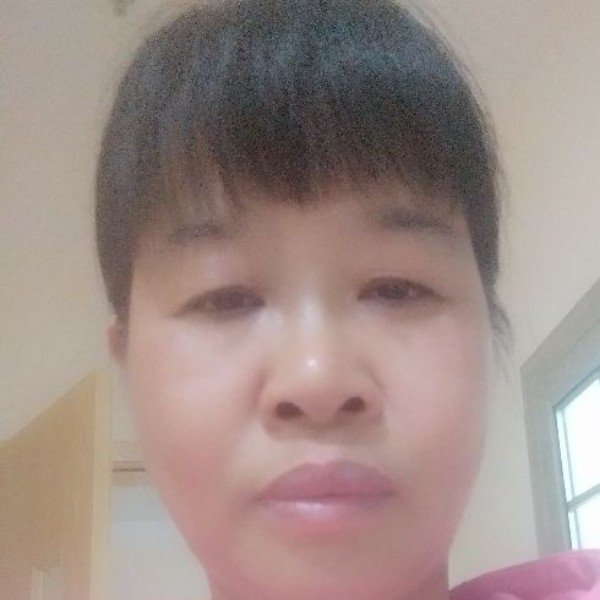 橘子风趣的照片