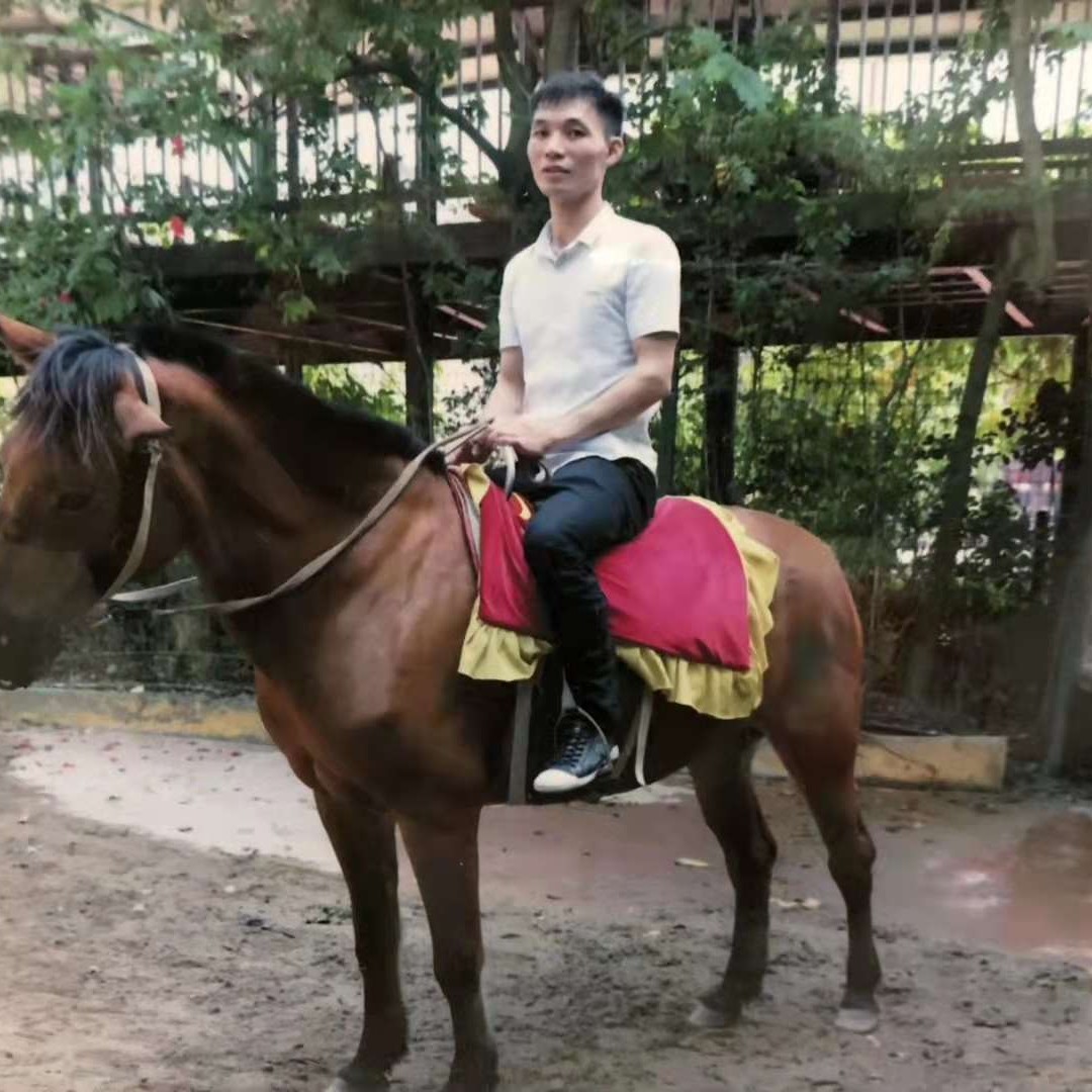 谦让愿树叶的照片