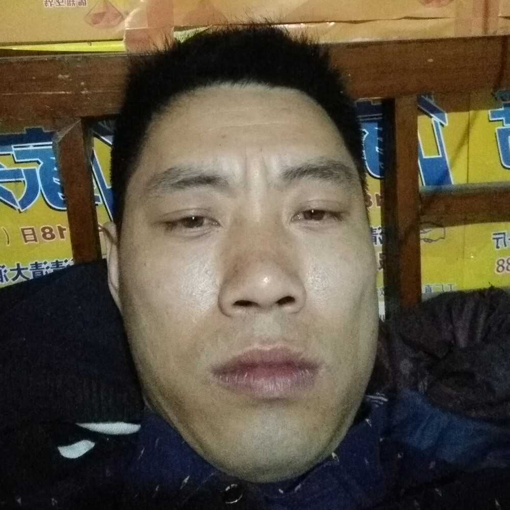 感动羽毛的照片