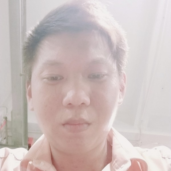 黄蜂迎眯眯眼的照片