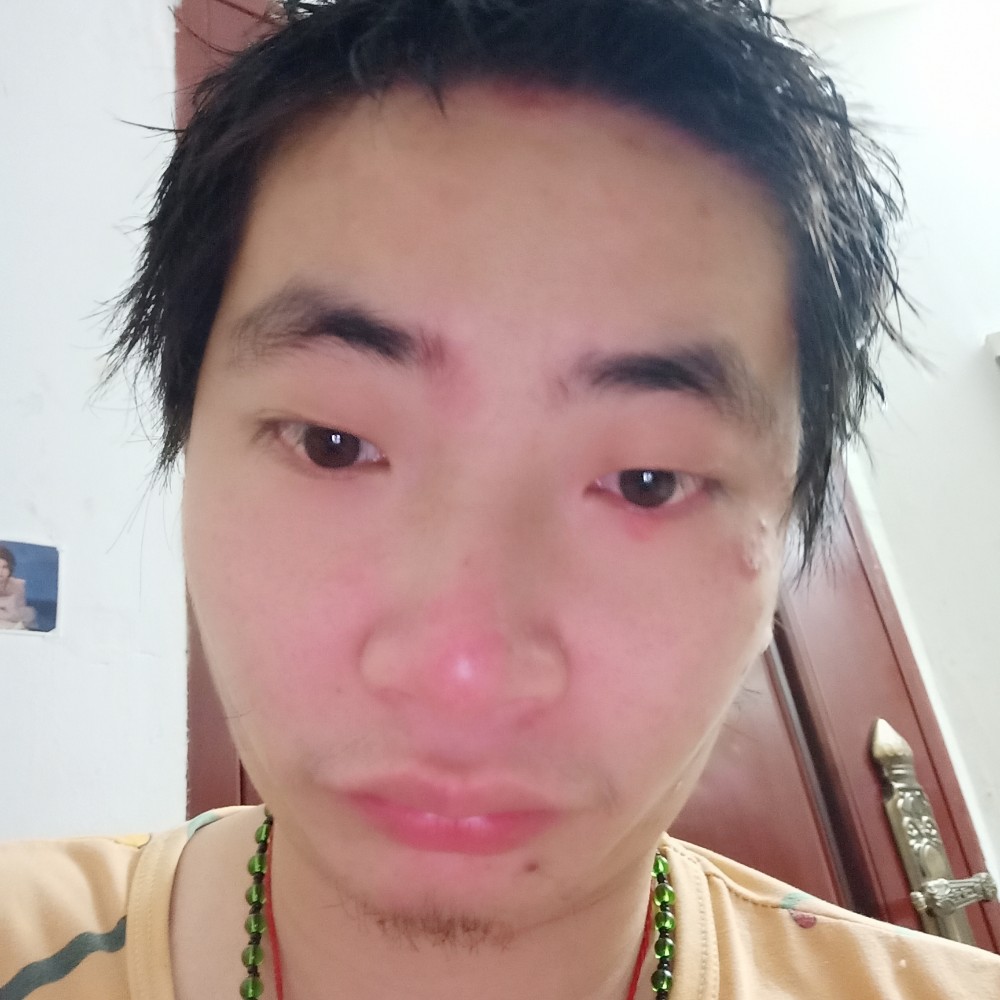 做你永远的避风港的照片