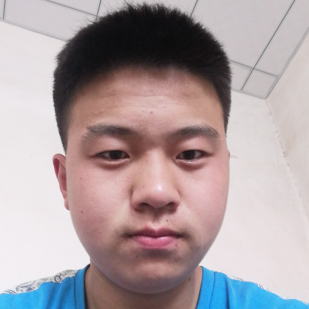 唯一的浅吻玫瑰的照片