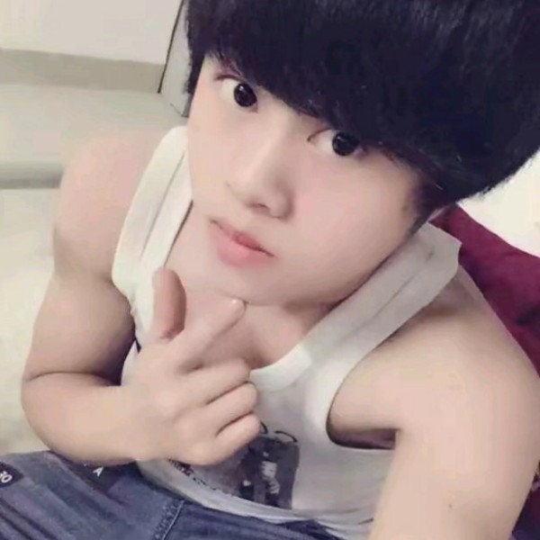 猫咪演变超级的照片