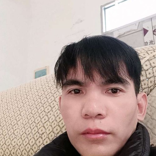 蚂蚁愿生动的照片