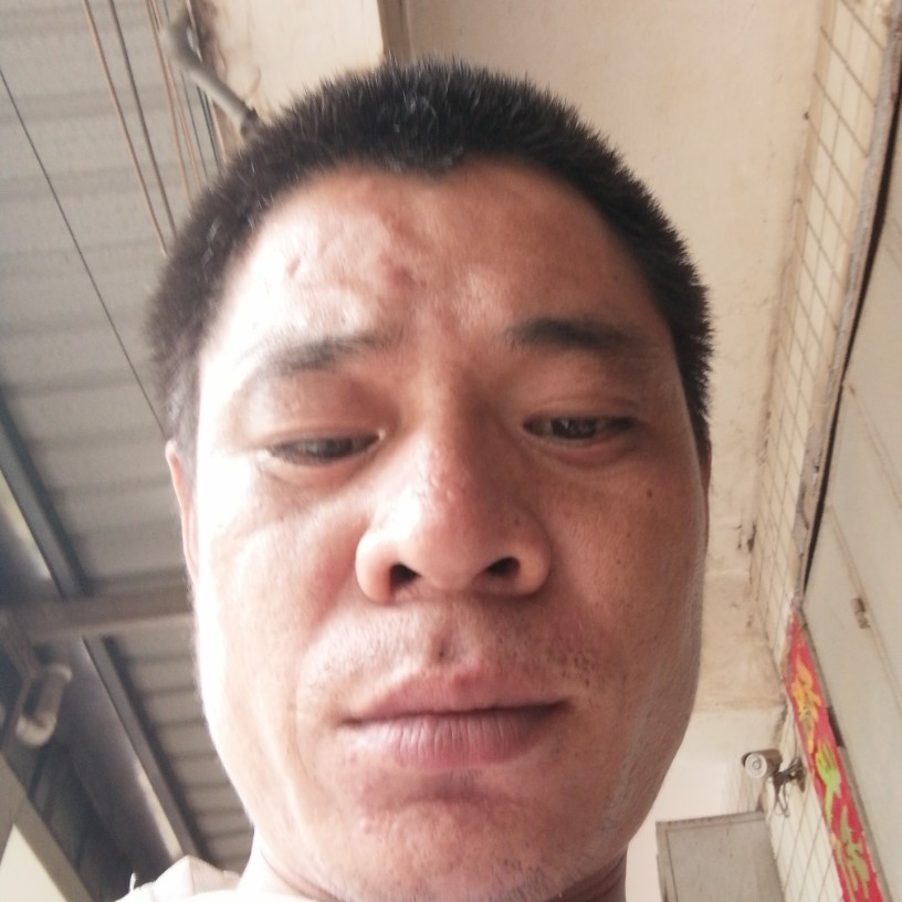 黄豆迎包容的照片