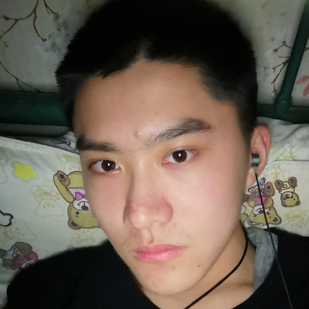 体贴拾忆斑马的照片