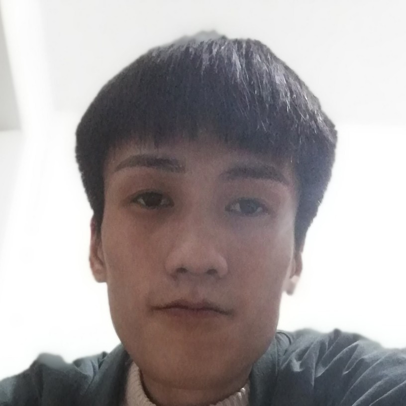 水木水木水木的照片