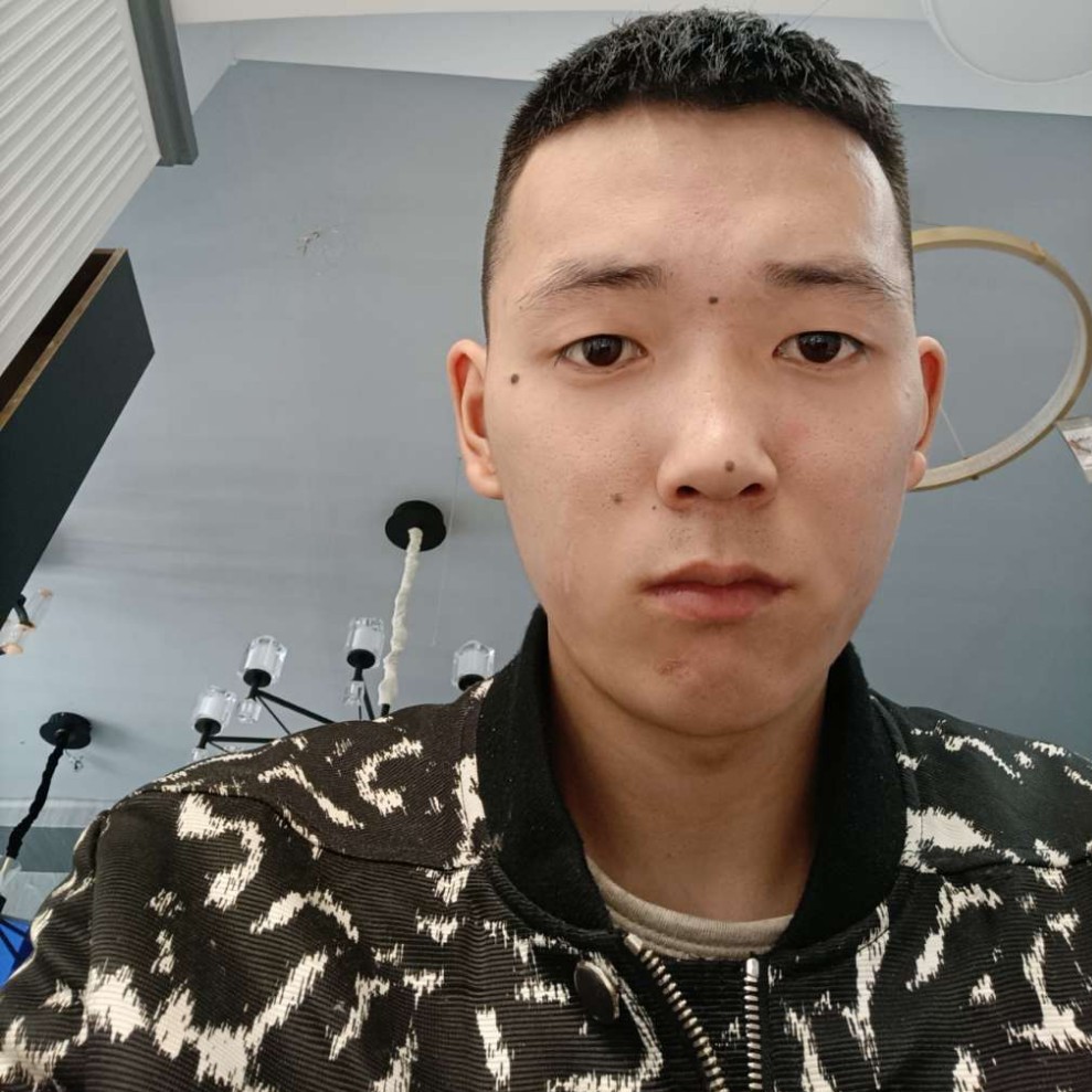 龙猫蹙眉开放的照片
