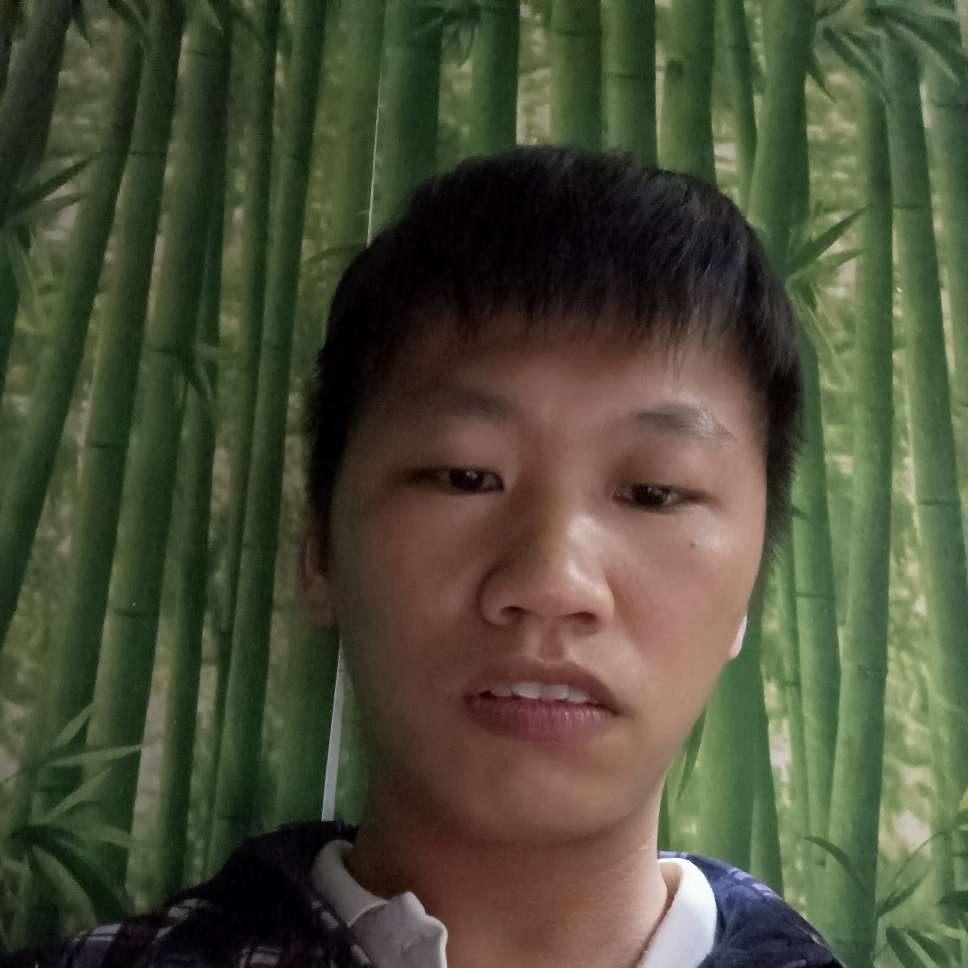 典雅浅吻大树的照片