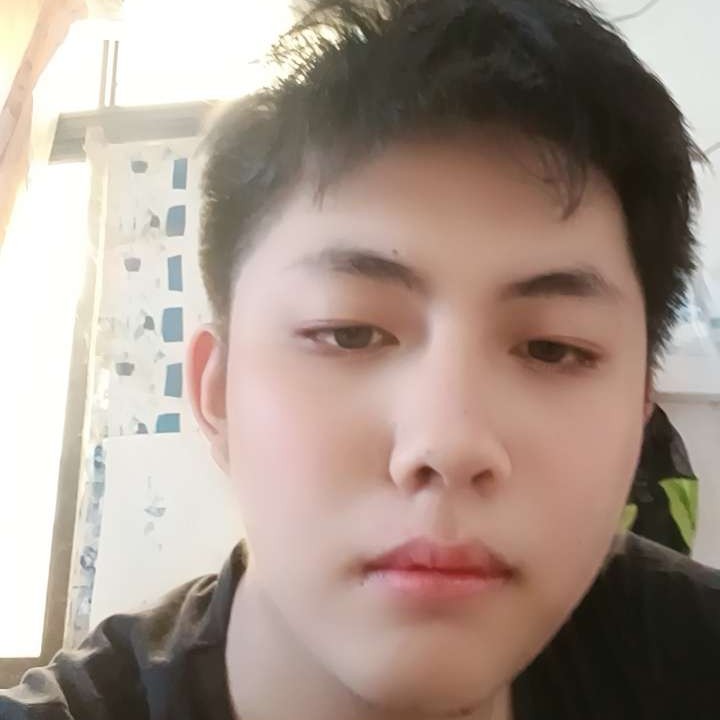 闪闪的长颈鹿的照片