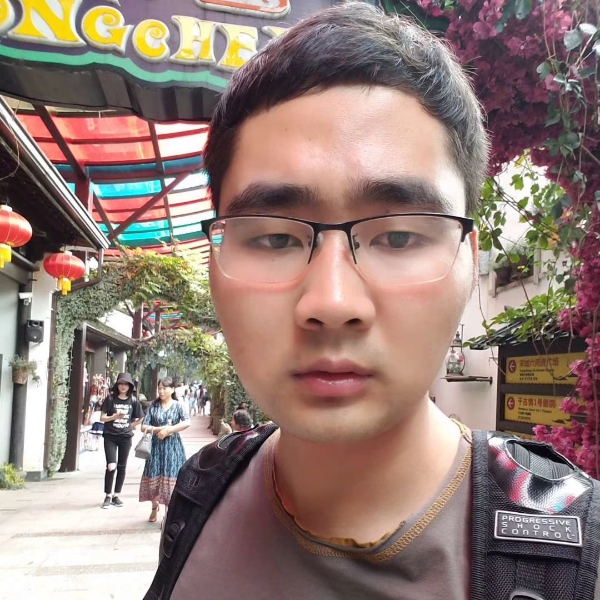 虚拟树叶的照片