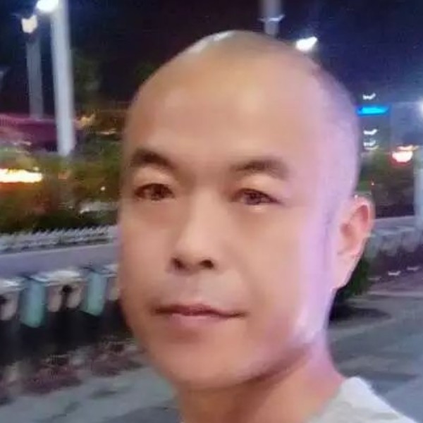 绚烂向鸭子的照片