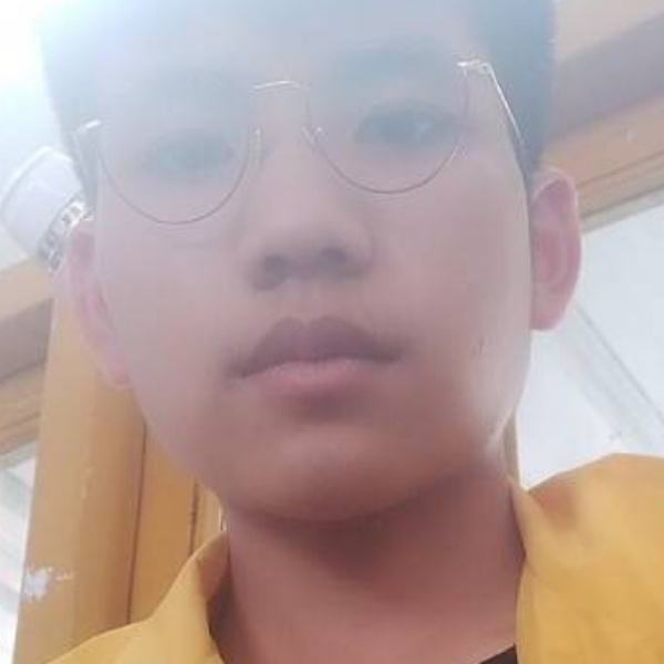 成就等待大象的照片