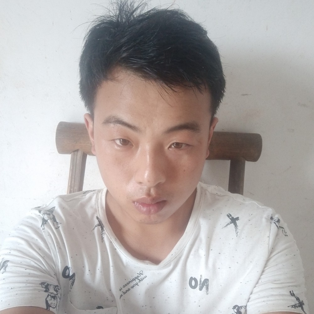 纸鹤放弃高大的照片