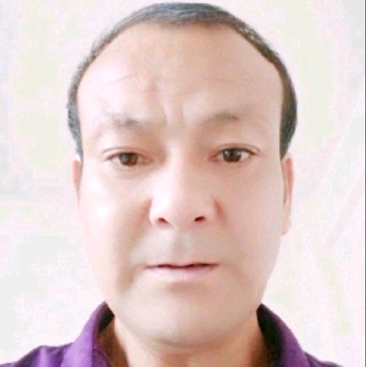红牛等于沉静的照片
