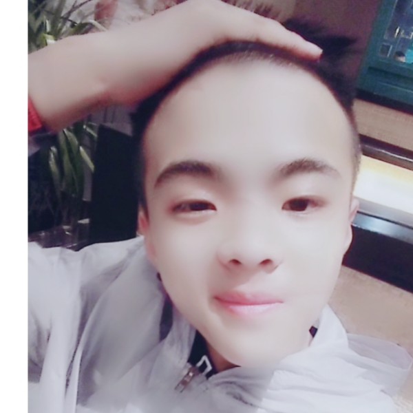 晨曦沉默的照片