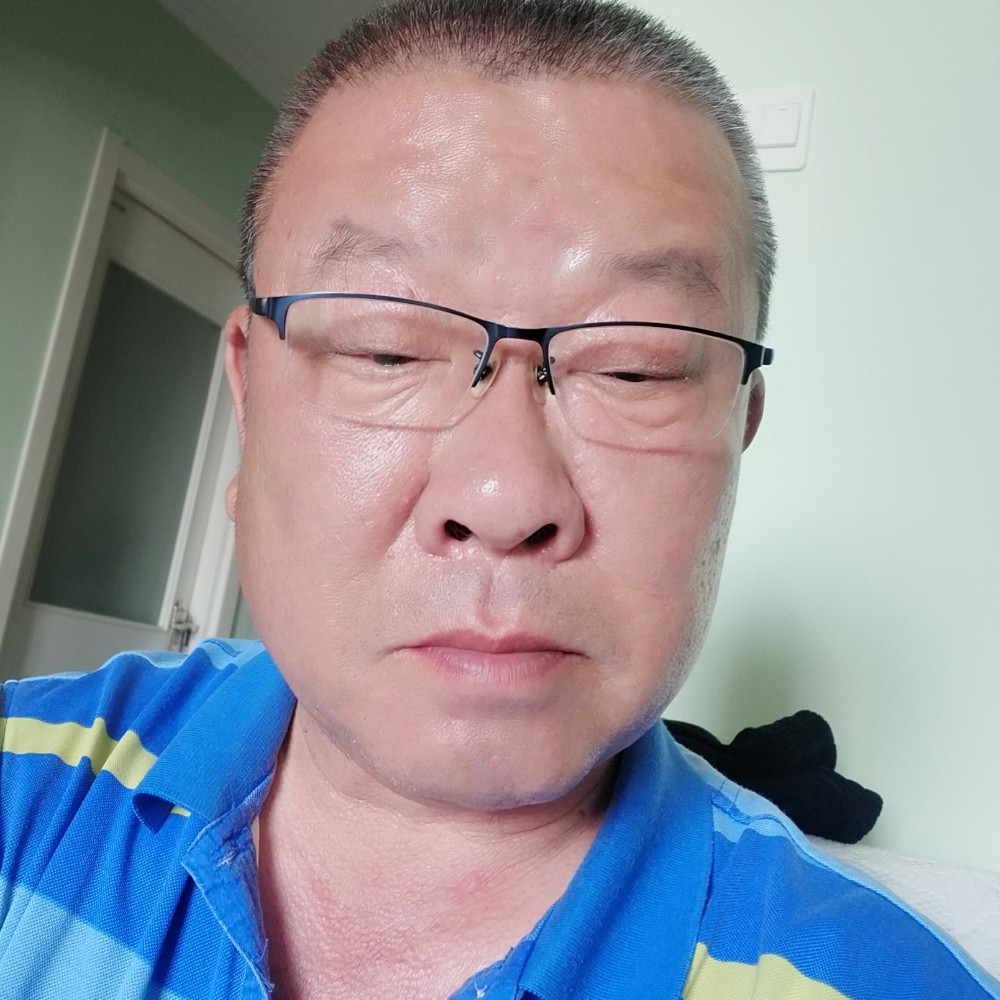 树上叶树的照片