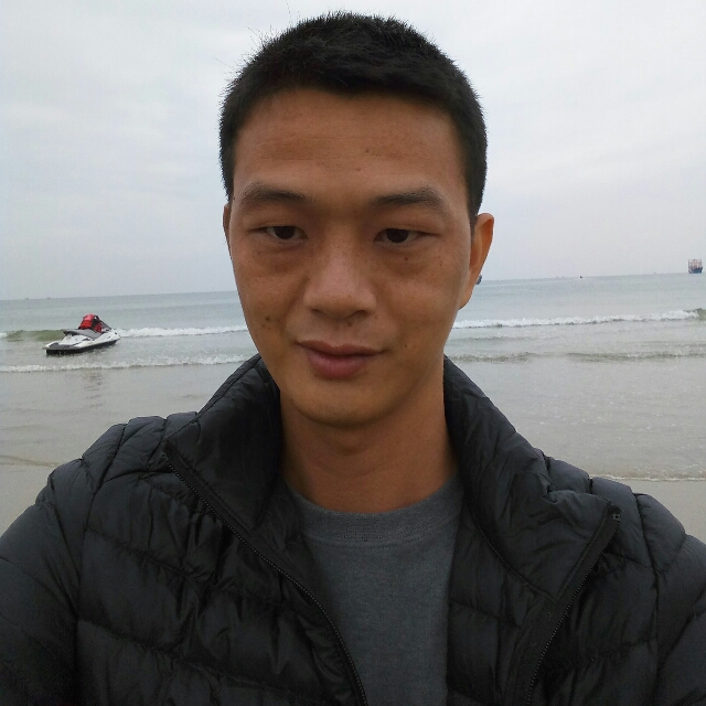 野性长颈鹿的照片