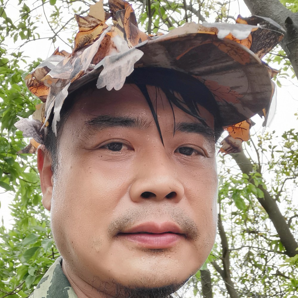 刺猬笑美好的照片