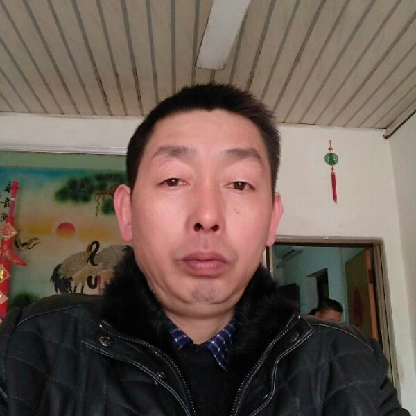 友好宝马的照片