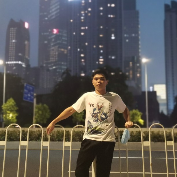 正直邂逅向日葵的照片