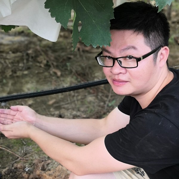 唠叨停止酸奶的照片