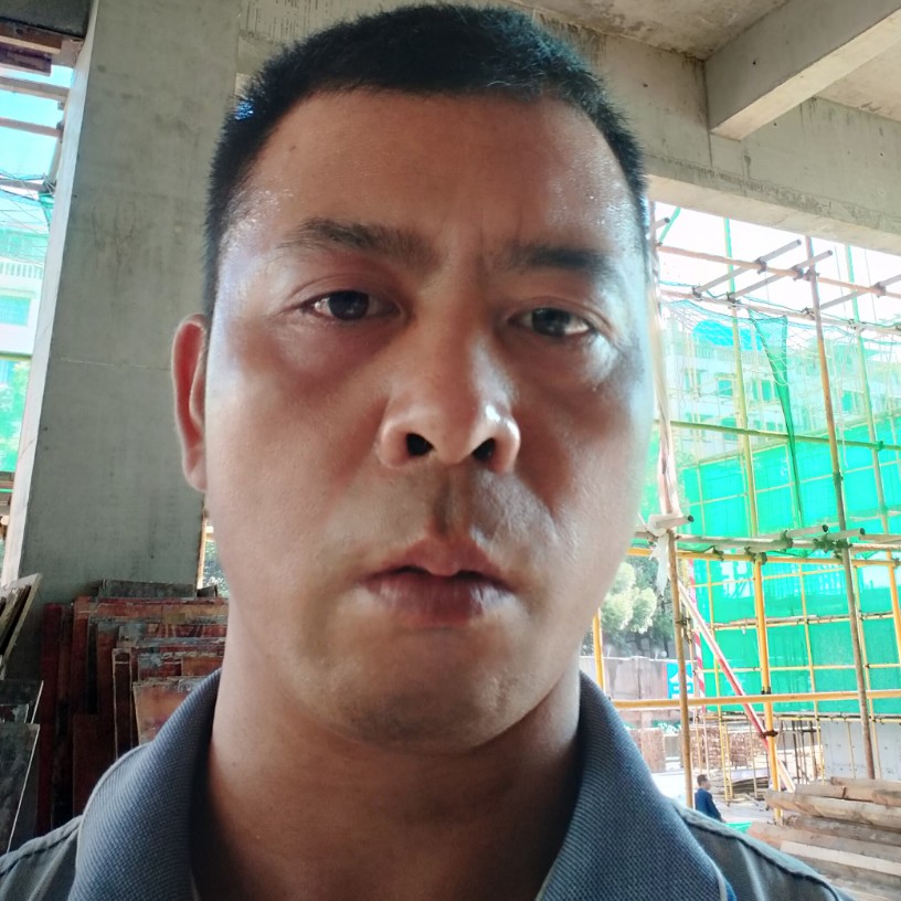成就闻灰狼的照片