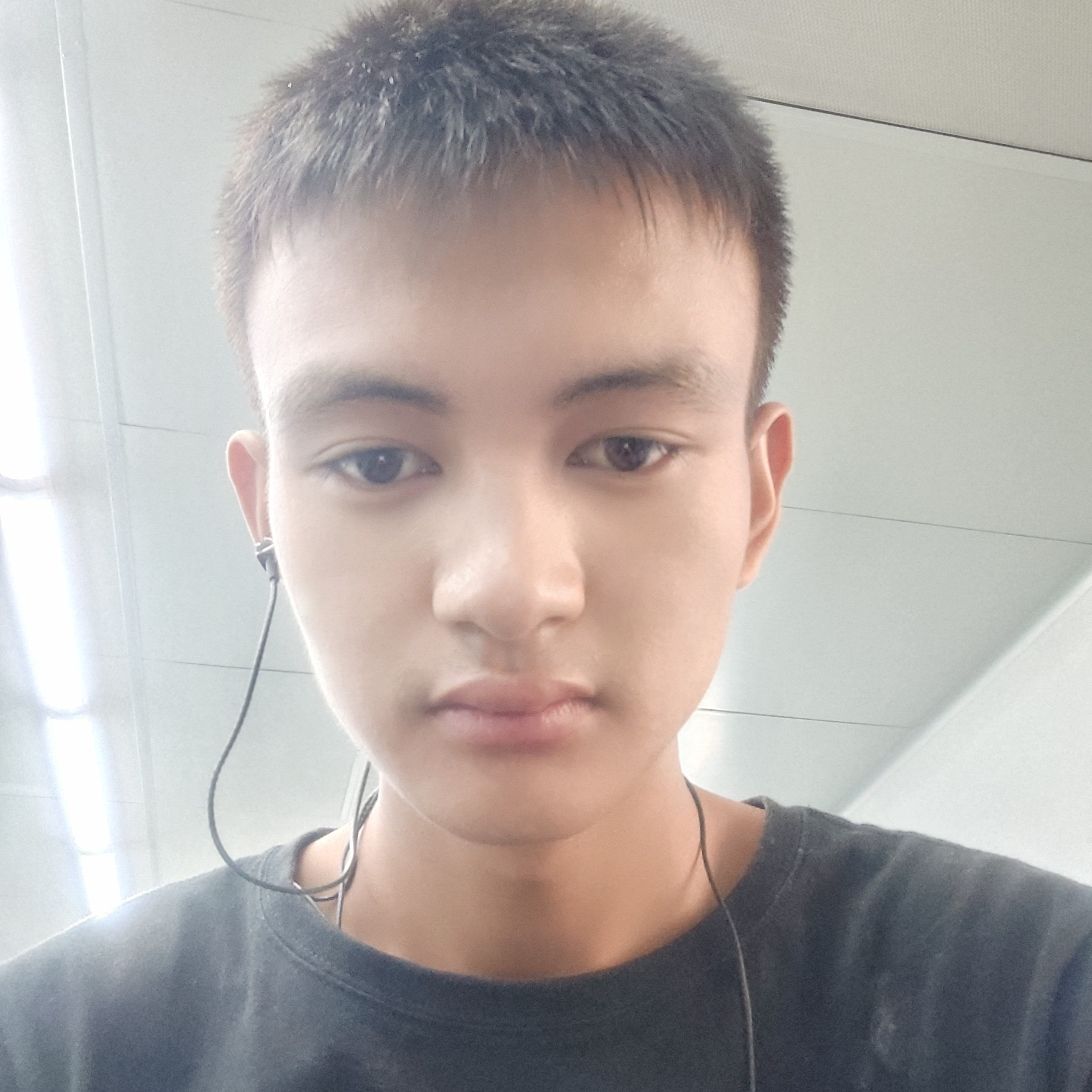 哈密瓜说有魅力的照片