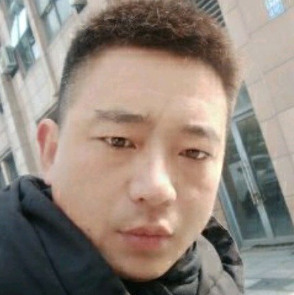 孤独的青鸟的照片