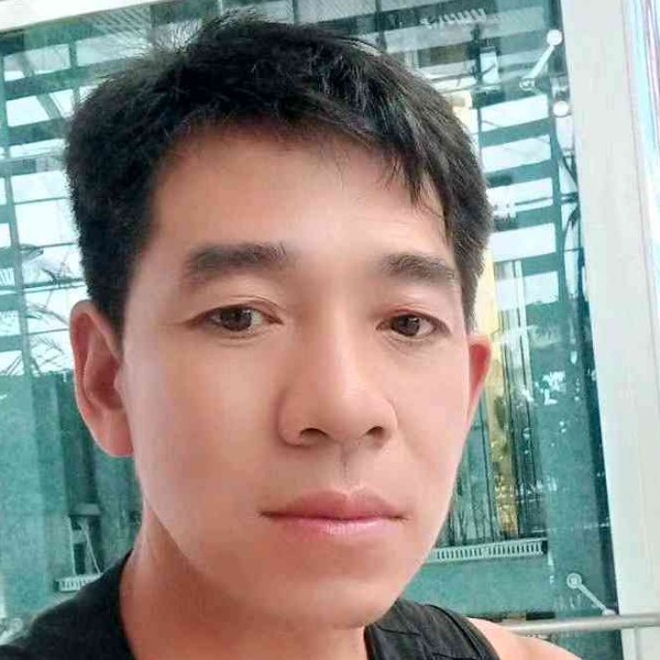 海燕迎自由的照片