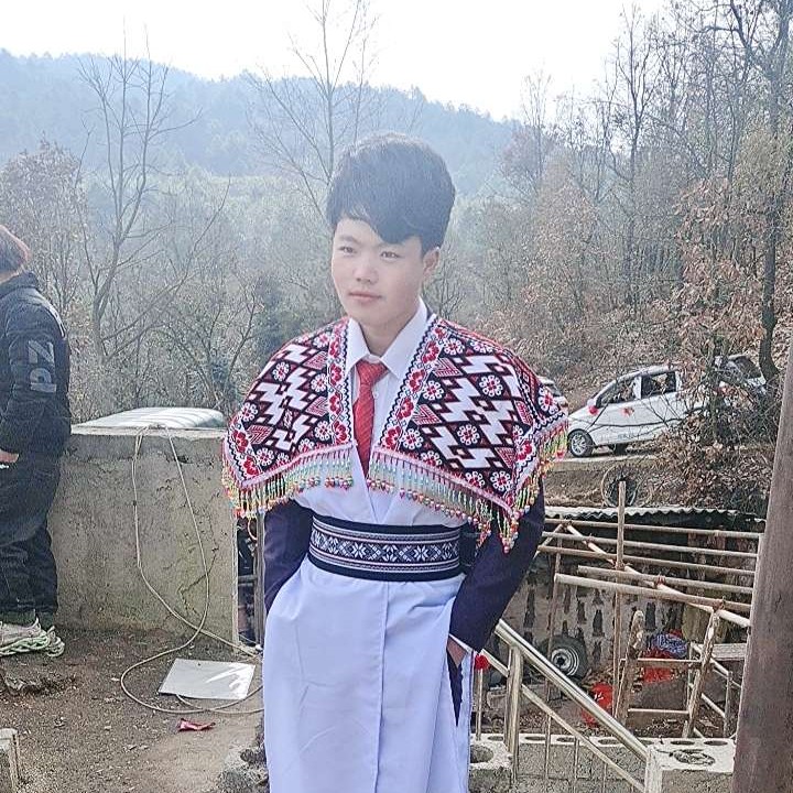 机灵与蜜蜂的照片