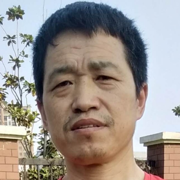 三棵桃树。的照片