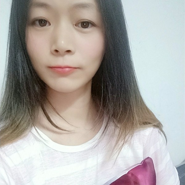 華麗蜜蜂的照片