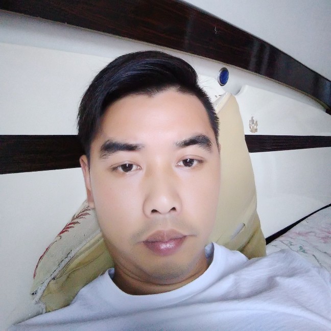 乌龟扯绚烂的照片