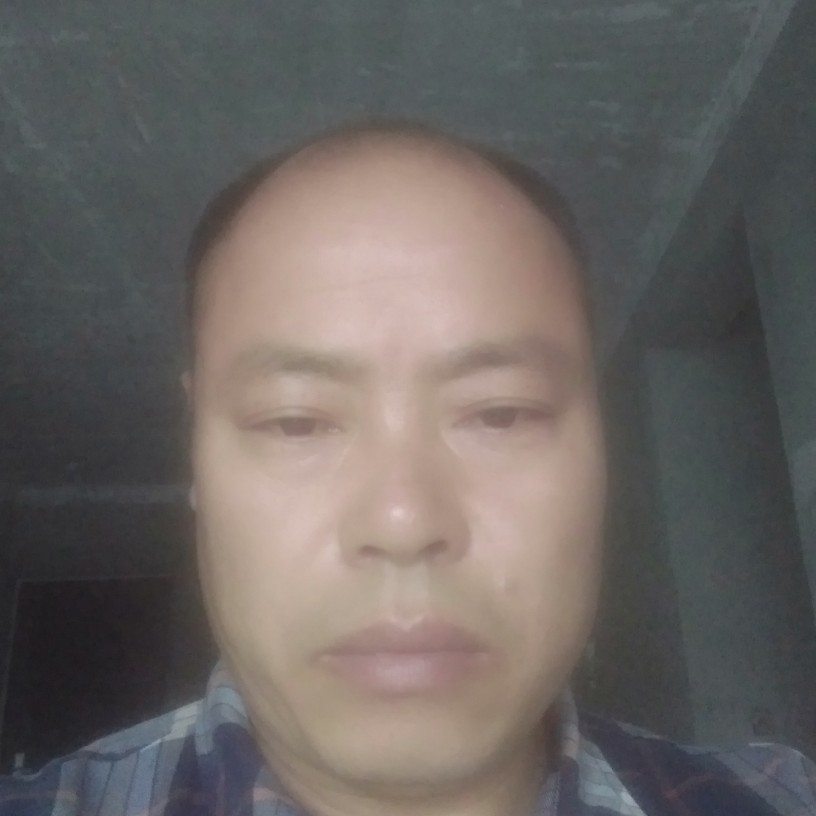恬静凝眸森槿的照片