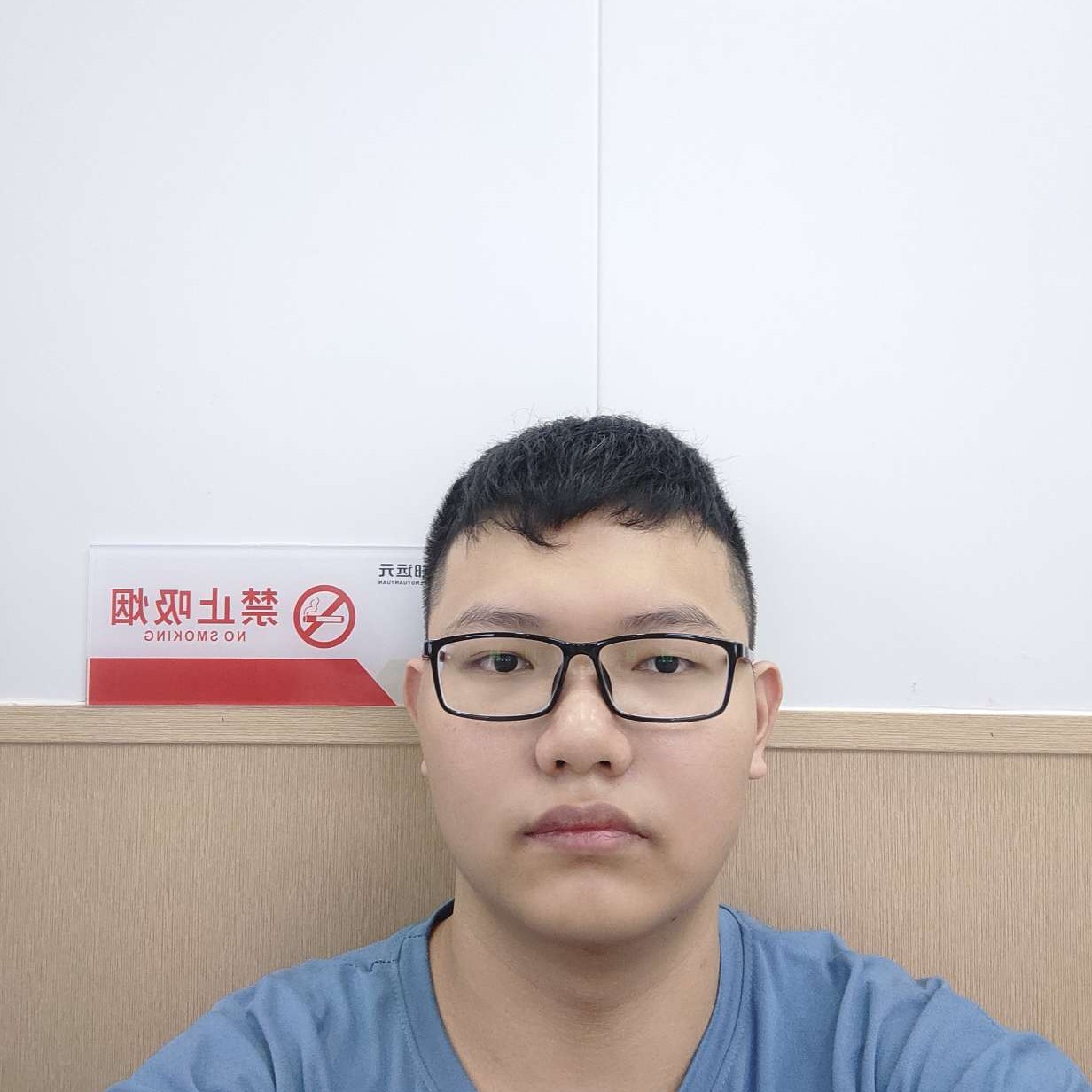 小刺猬与柠檬的照片