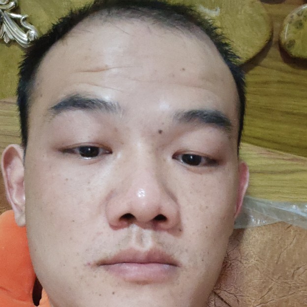 虚心闻蚂蚁的照片