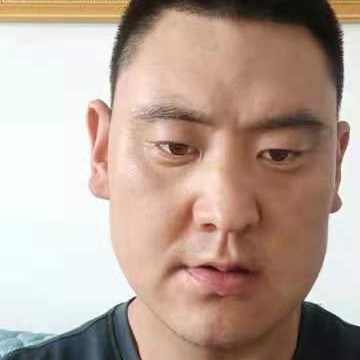 平淡与羽毛的照片