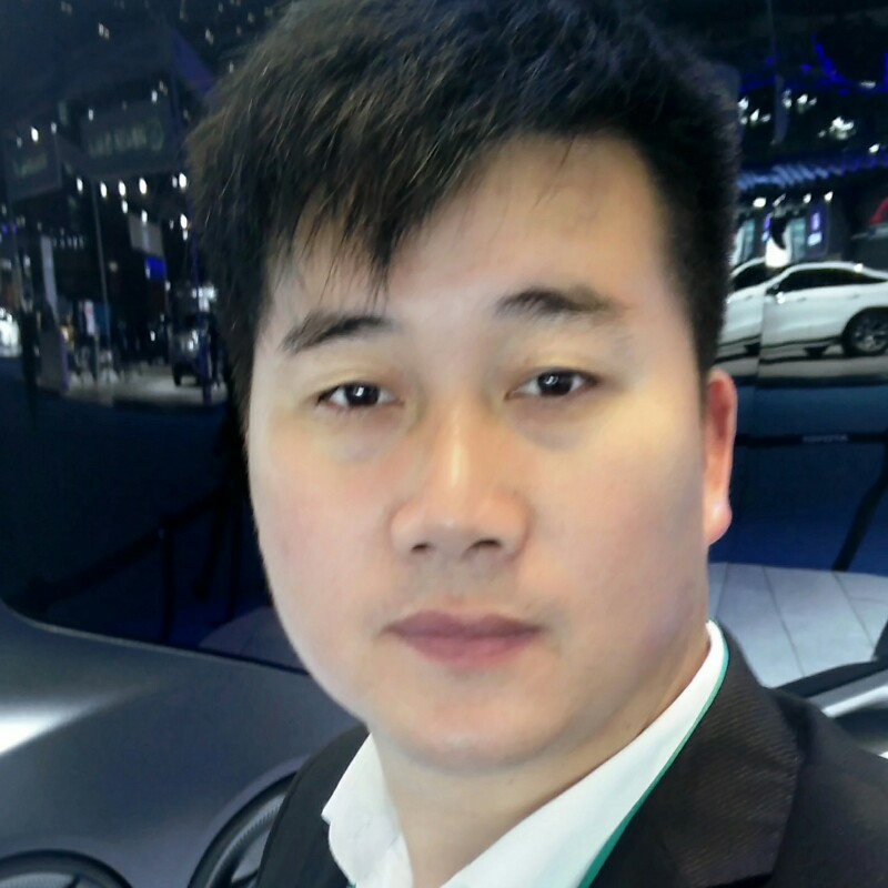 老实黄蜂的照片