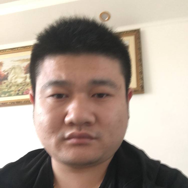 长情的奇迹的照片