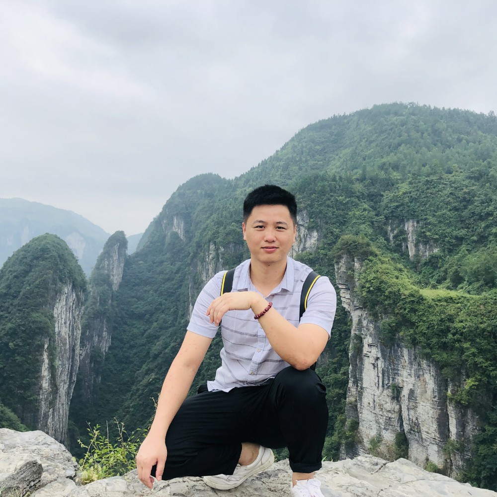 龙翔虎敏的照片