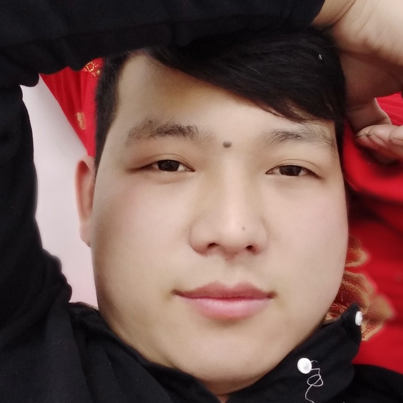 要减肥小海豚的照片