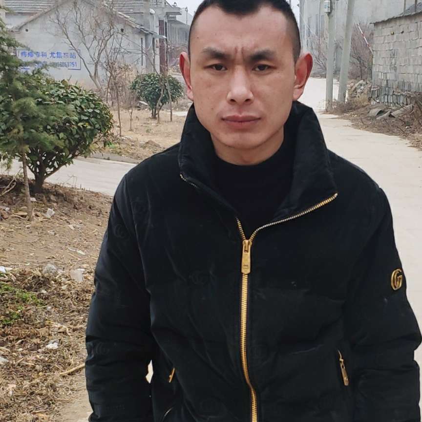 小海豚蹙眉搞怪的照片